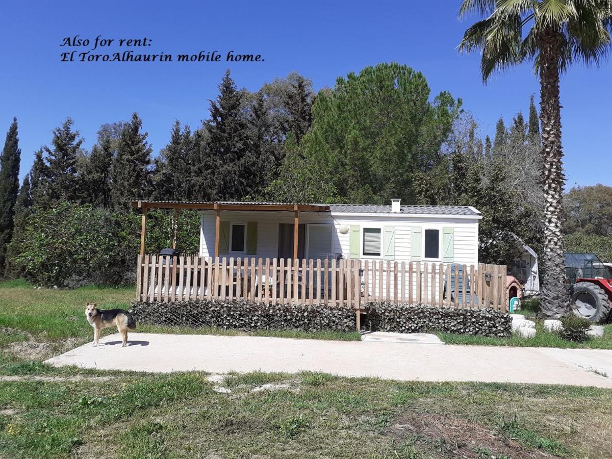 Appartement El Toro Alhaurin Alhaurín el Grande Dış mekan fotoğraf